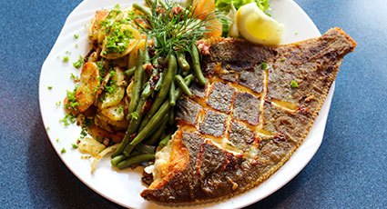 Fisch Genuss im Restaurant Gastmahl des Meeres Dresden