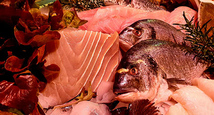 Frischer Fisch Imbiss Werksverkauf Hein Mück Fischhandel Dresden